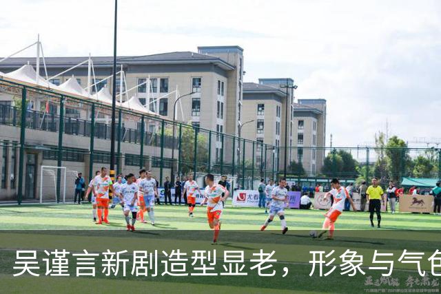 吴谨言新剧造型显老，形象与气色成疑